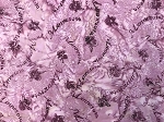 Minnesota Charms Batik G2205 241 Sanoma Minnesota Script Ladyslipper Exclusive Hoffman Batik